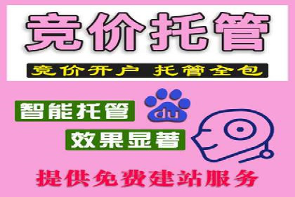 百度搜索推广的成功案例：企业如何实现精准营销